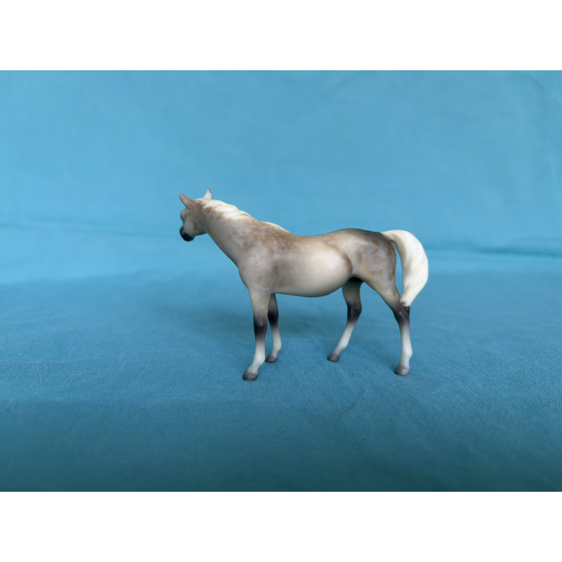 Rose Grey G1 TB Mare - JCP Parade of Breeds I
