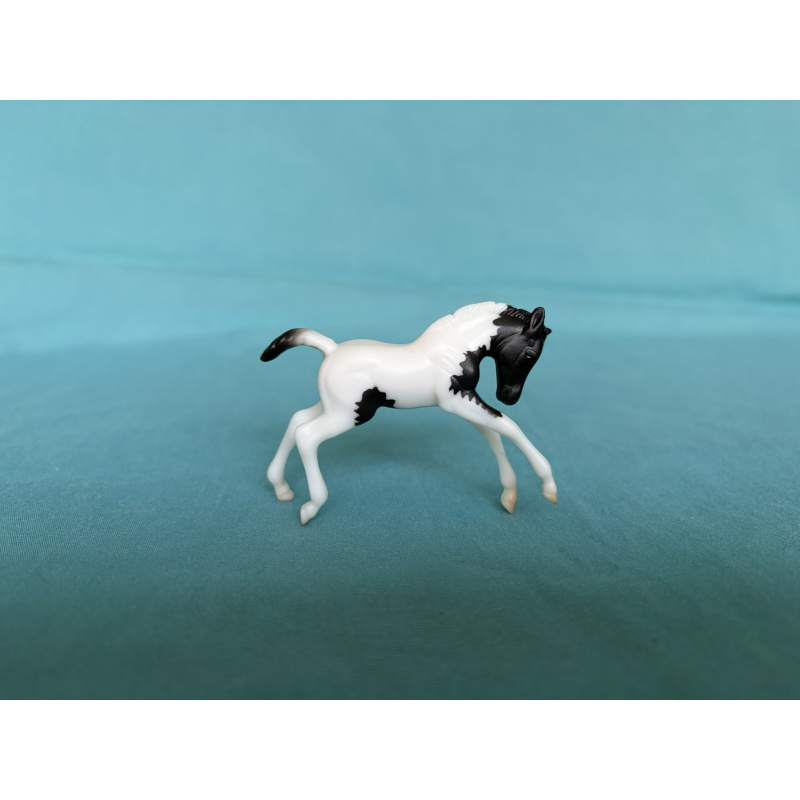 Black Pinto Scrambling Foal - Mystery Foal Surprise - Family 11