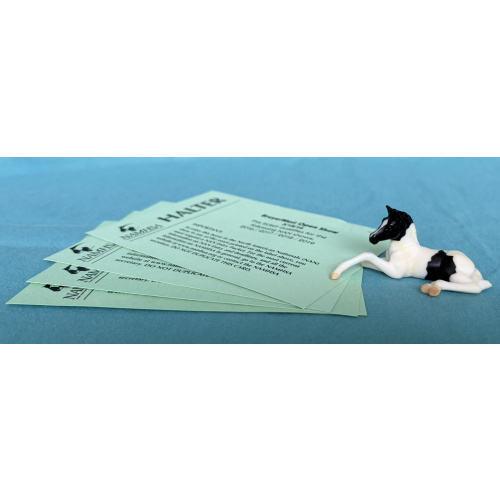 Black Pinto Lying Foal - Mystery Foal Surprise - Family 3