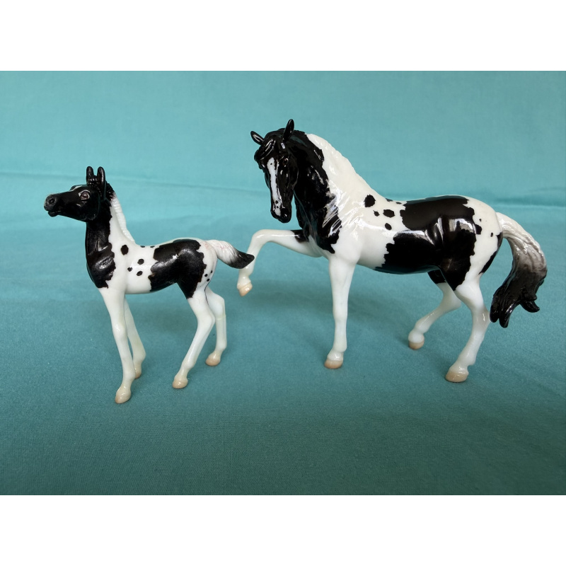 Mini Hermoso and Corazon