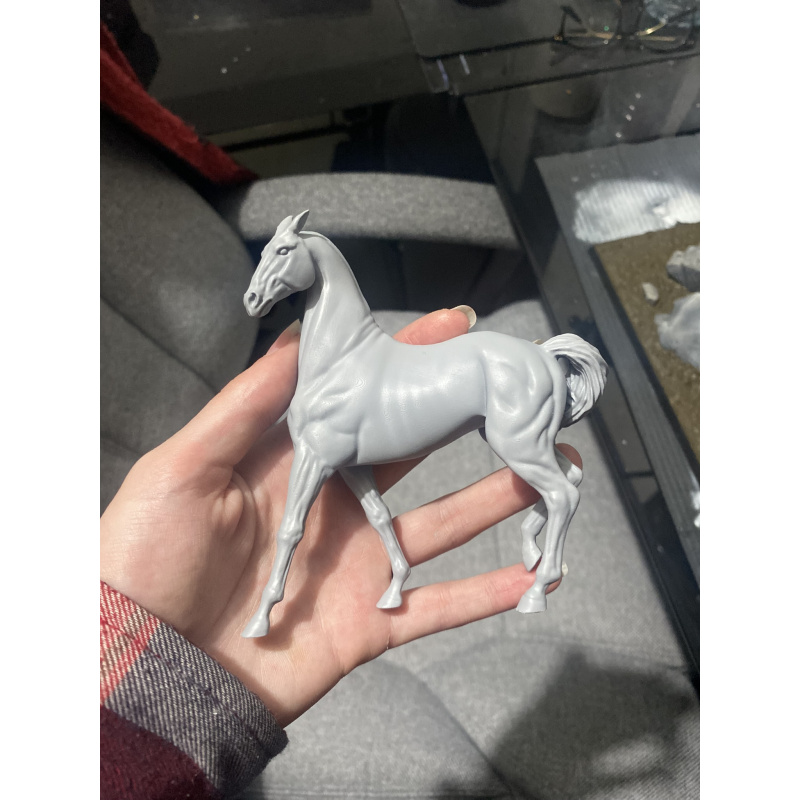 RAJA - Akhal Teke Mare