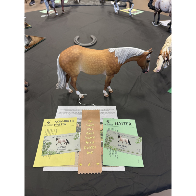 Custom Standing QH Mare