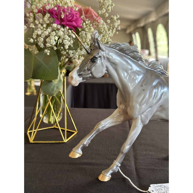 Equilocity Judge’s Model Silver Volo Unicorn LE-10