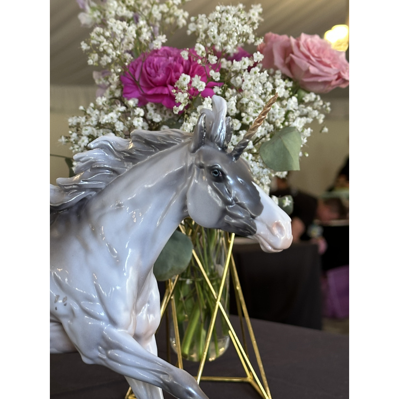 Equilocity Judge’s Model Silver Volo Unicorn LE-10