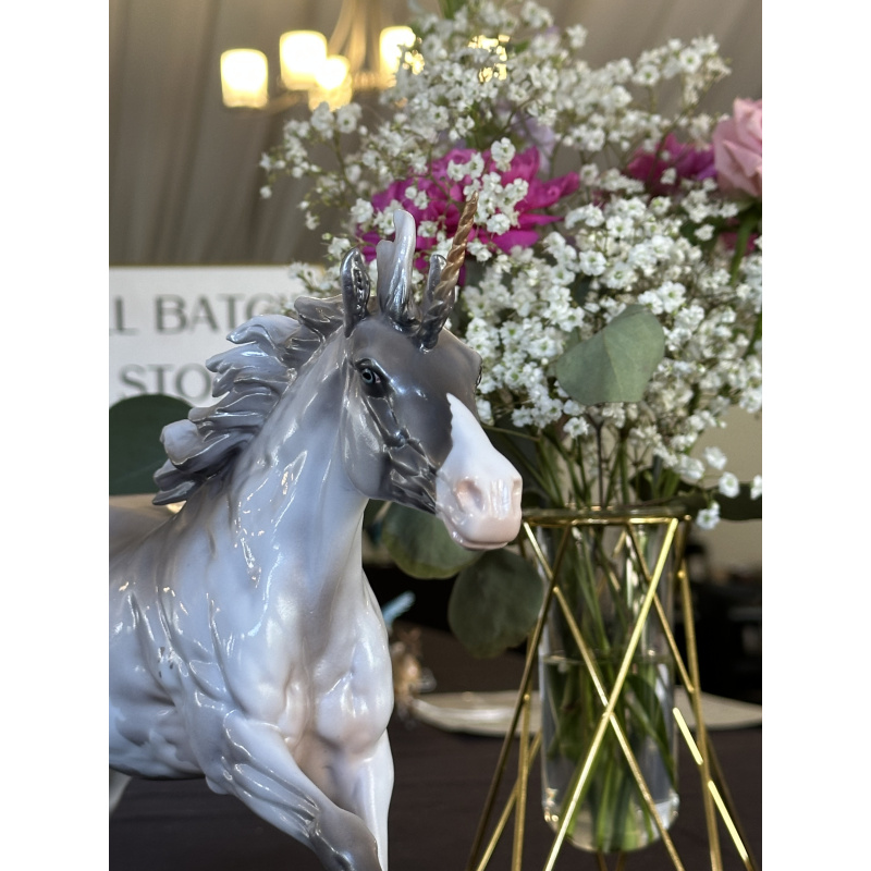 Equilocity Judge’s Model Silver Volo Unicorn LE-10