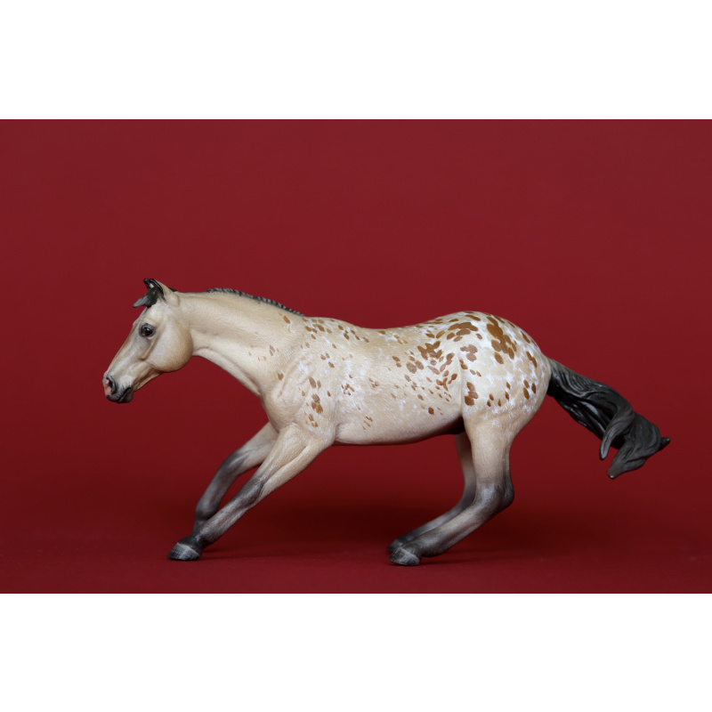 Unique Buckskin Appaloosa Custom