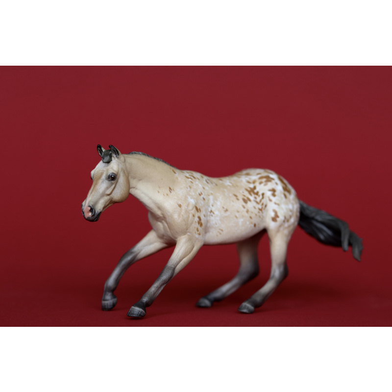 Unique Buckskin Appaloosa Custom