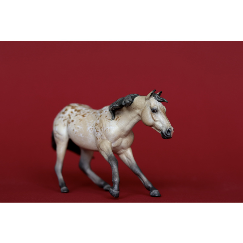 Unique Buckskin Appaloosa Custom
