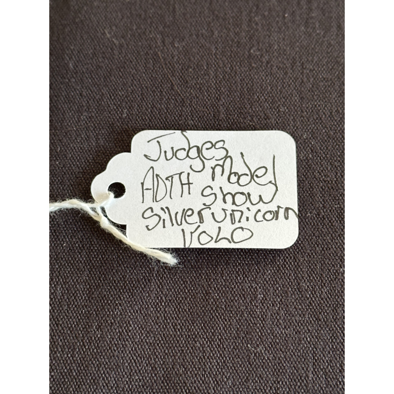 Equilocity Judge’s Model Silver Volo Unicorn LE-10