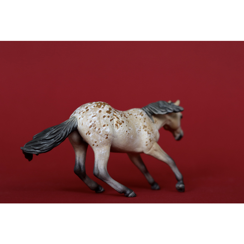 Unique Buckskin Appaloosa Custom