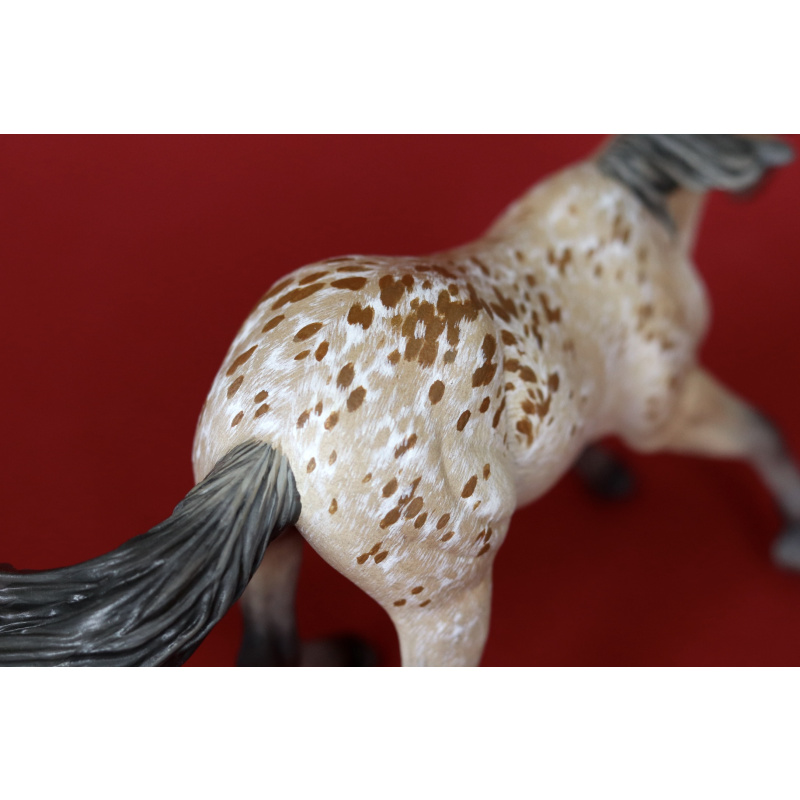 Unique Buckskin Appaloosa Custom