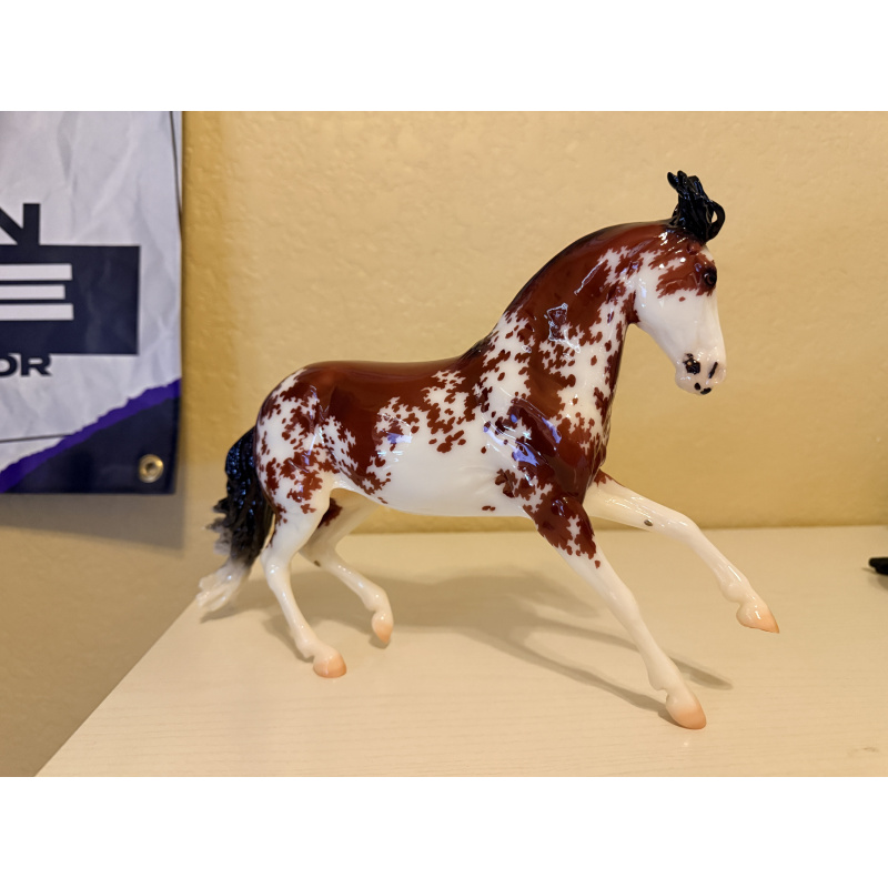 Breyer Premier Club 2024 Bandalero GLOSSY
