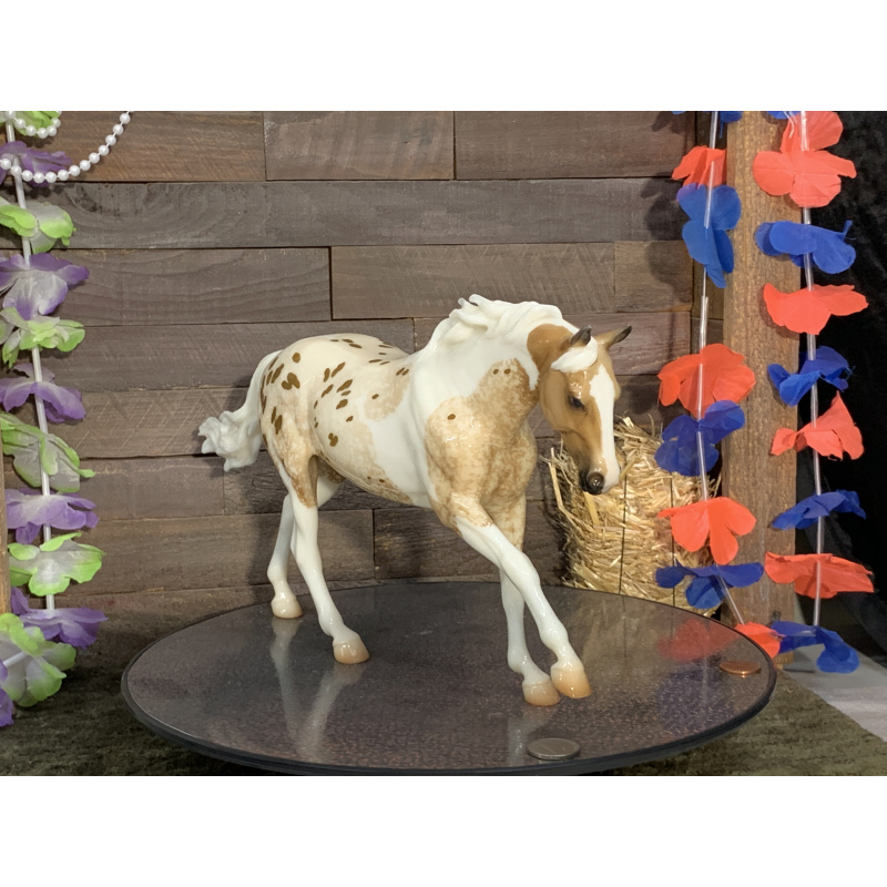 Breyer OF Horse Dundee Glossy Palomino Dapple Pintoloosa Seven Arts Surprise
