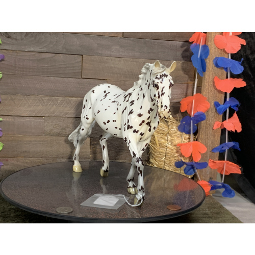 Breyer OF Horse Giselle Glossy Black Leopard Appaloosa Slainte Surprise