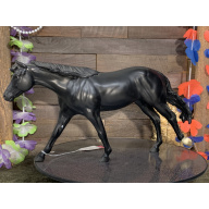 Breyer OF Horse Roxy Signed Celebration Model