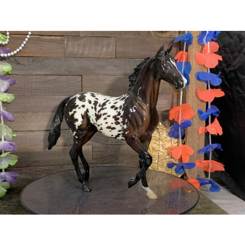 Breyer OF Horse Glossy Quelle Surprise Black Leopard Appaloosa BF SR