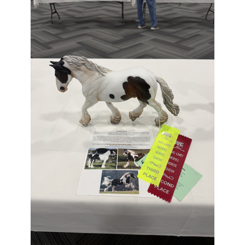 Loose Mane Shire Gelding