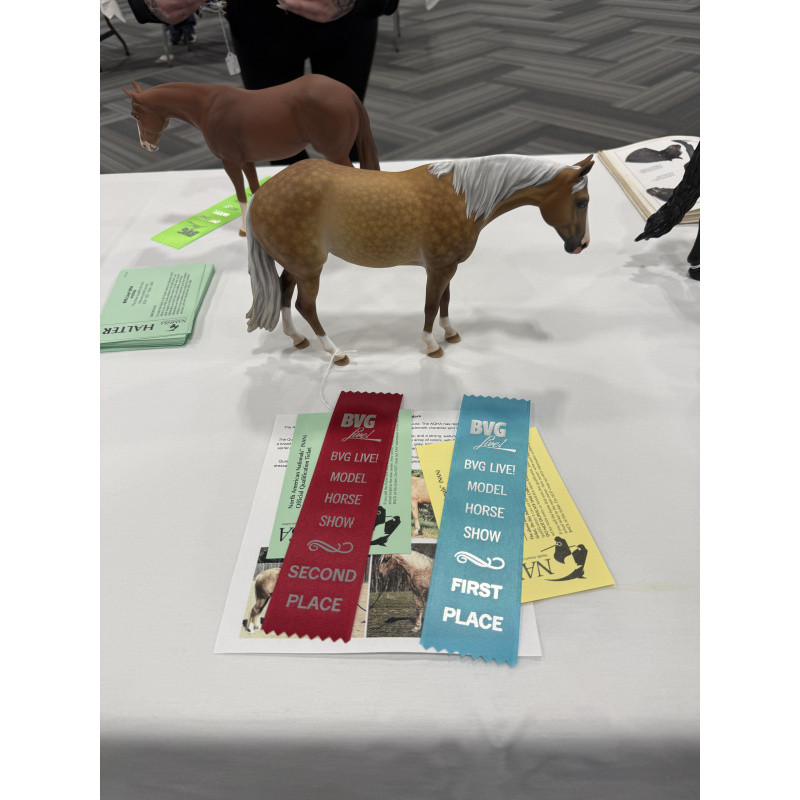 Custom Standing QH Mare