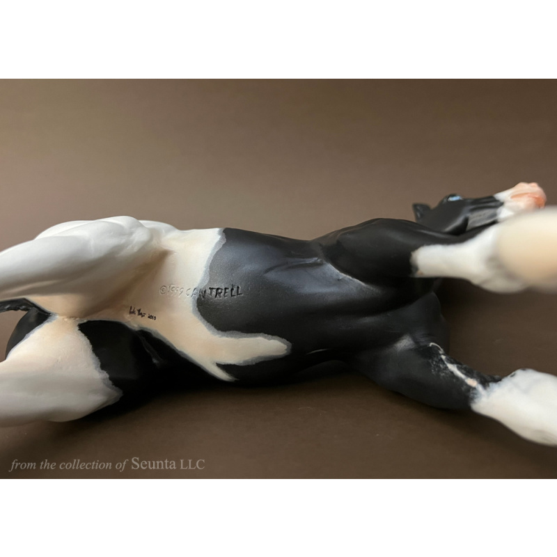 Black Overo RASPBERRY Foal