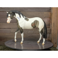 Breyer OF Horse Foundation Stallion Grulla Paint #1