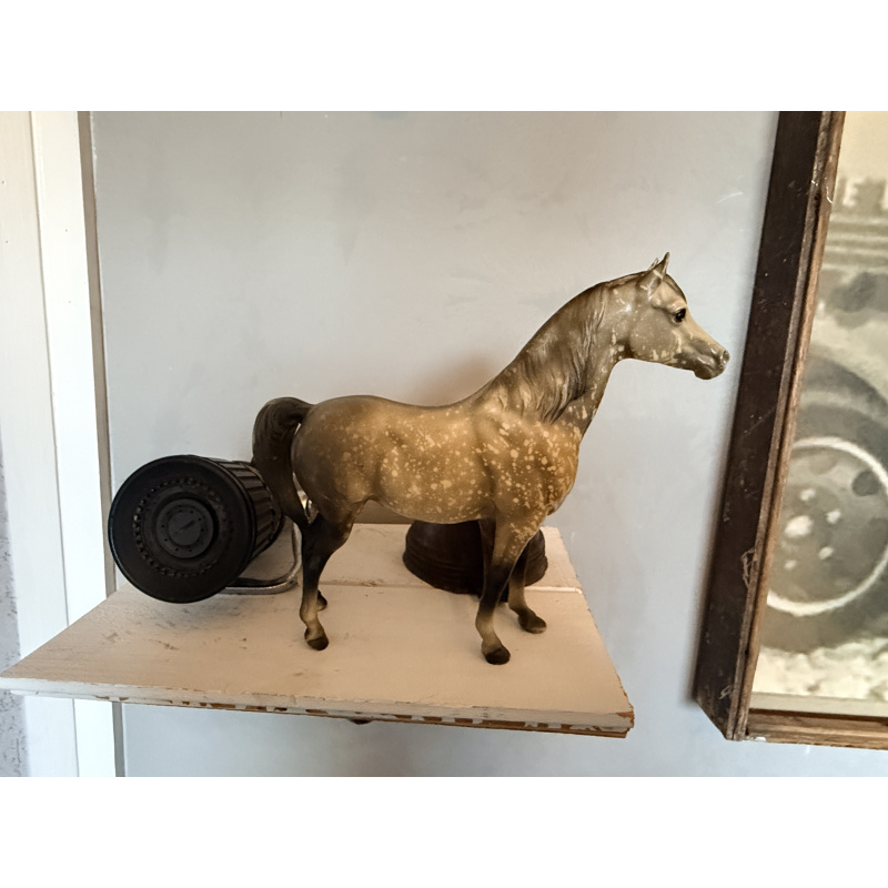 Proud Arabian Mare (PAM) and Proud Arabian Foal (PAF) - Dapple Gray
