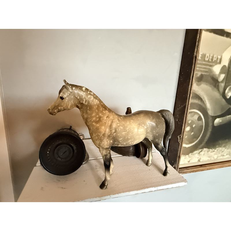 Proud Arabian Mare (PAM) and Proud Arabian Foal (PAF) - Dapple Gray