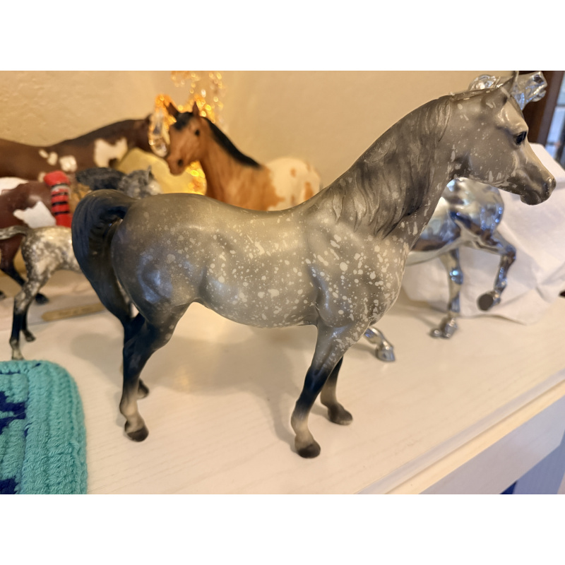 Proud Arabian Mare (PAM) and Proud Arabian Foal (PAF) - Dapple Gray