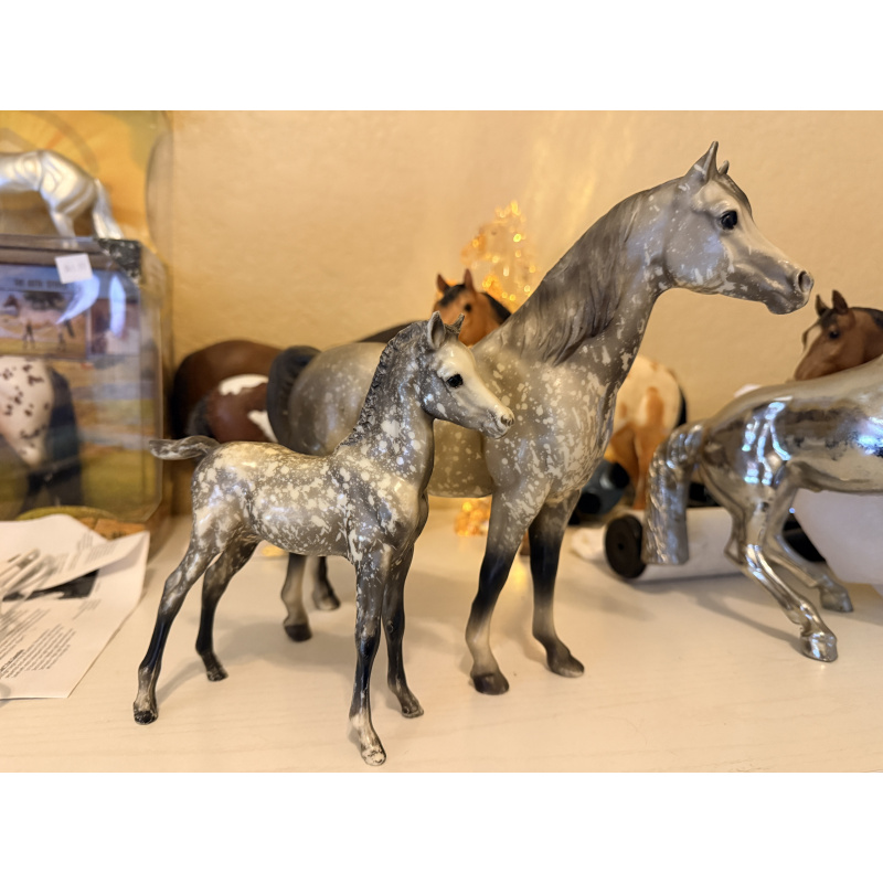 Proud Arabian Mare (PAM) and Proud Arabian Foal (PAF) - Dapple Gray