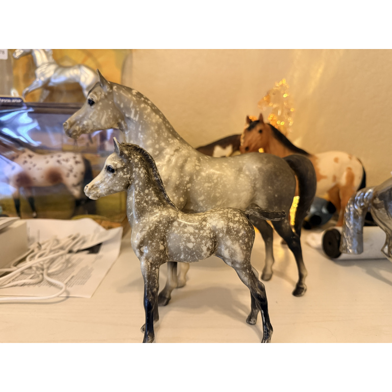 Proud Arabian Mare (PAM) and Proud Arabian Foal (PAF) - Dapple Gray
