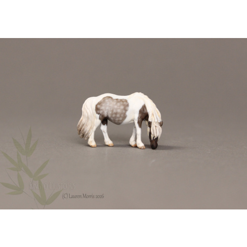 Deena Micro Mini Painted to a lovely Silver Dapple Tobiano