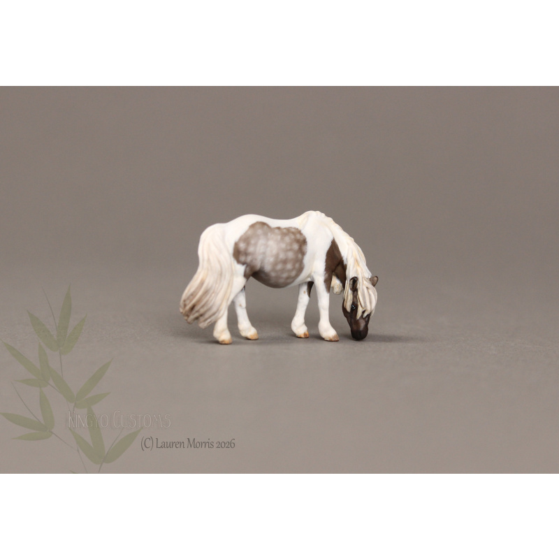 Deena Micro Mini Painted to a lovely Silver Dapple Tobiano