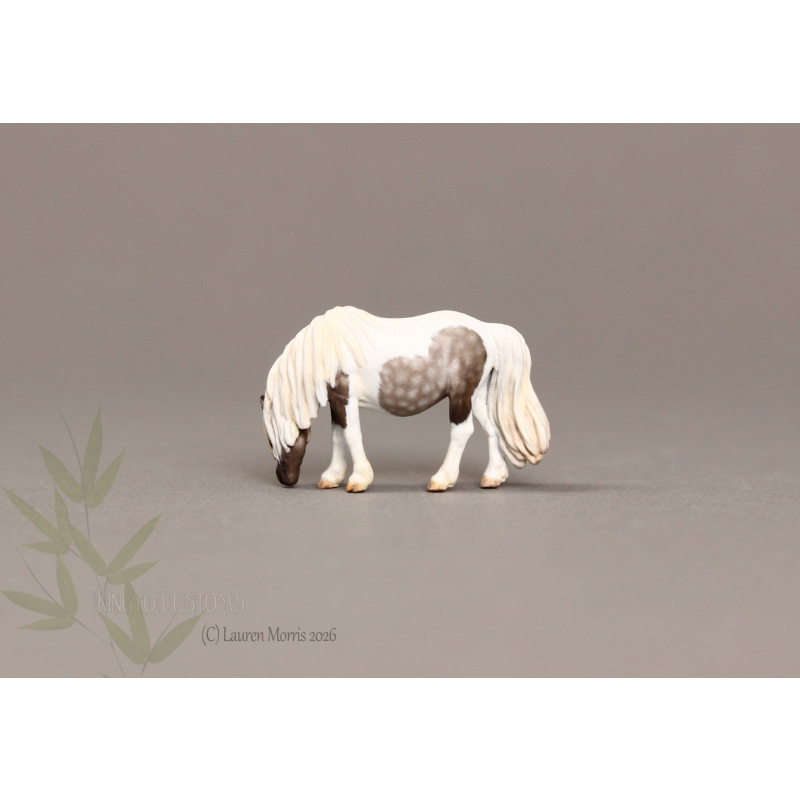 Deena Micro Mini Painted to a lovely Silver Dapple Tobiano
