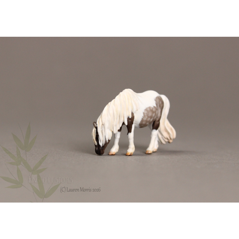 Deena Micro Mini Painted to a lovely Silver Dapple Tobiano