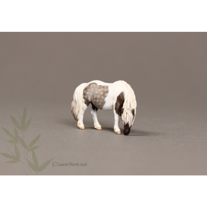 Deena Micro Mini Painted to a lovely Silver Dapple Tobiano