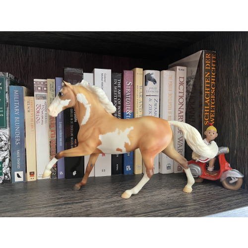 Breyer Dulce de Leche 2006 LE Traditional size Flash Mold