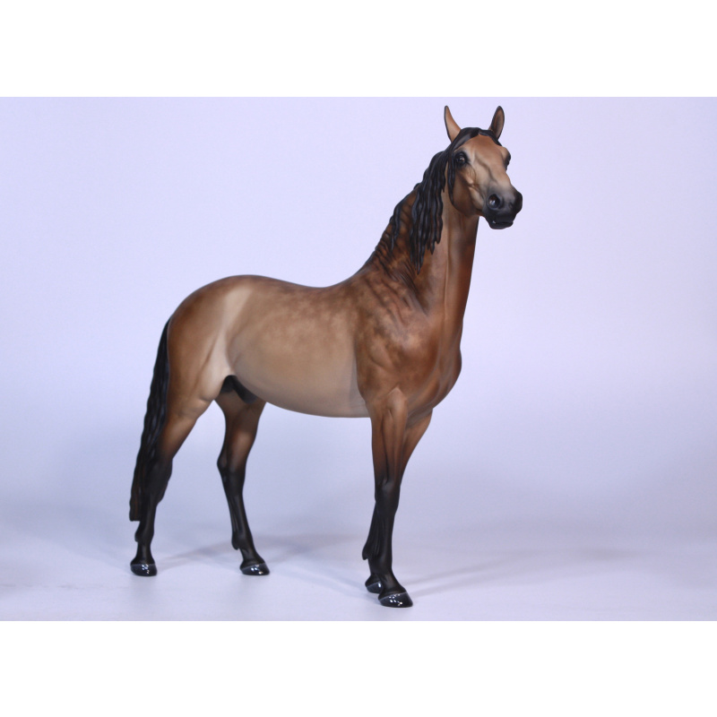 Custom Breyer Cosimo