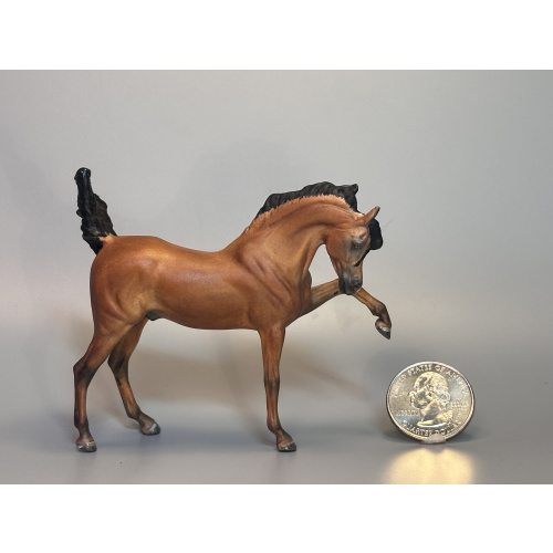 Custom Twist To Wild Bay