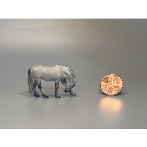 Maggie Jenner-Bennett “Scritchy Callie” Fjord CM