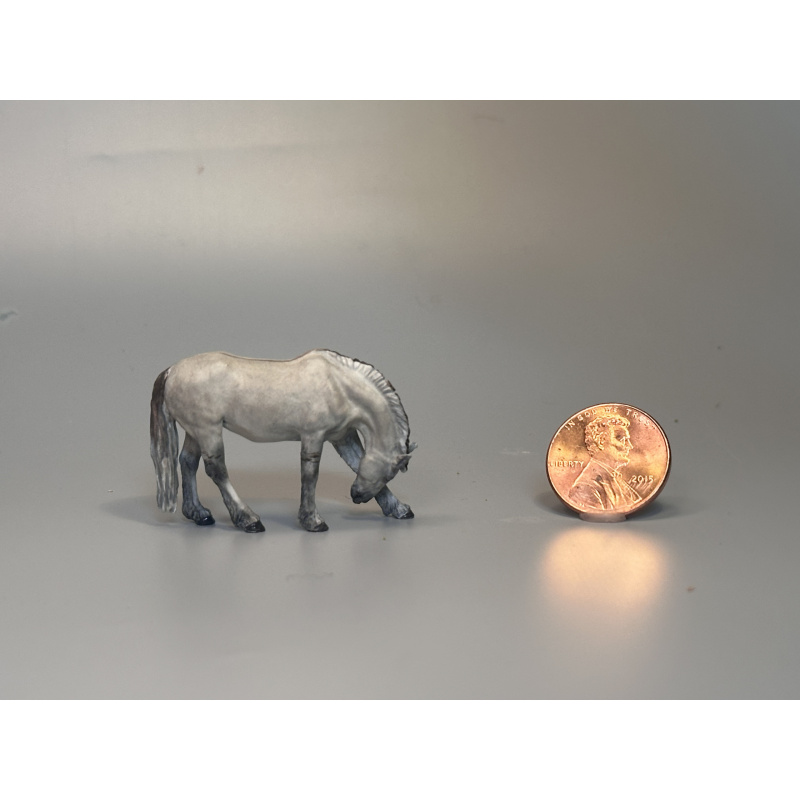 Maggie Jenner-Bennett “Scritchy Callie” Fjord CM