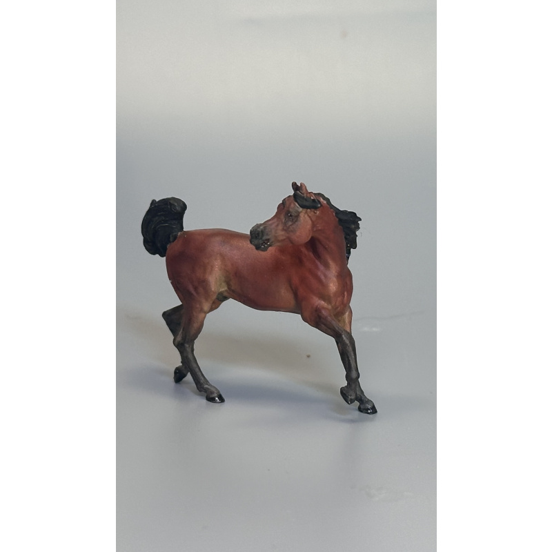 Maggie Jenner-Bennett “The Suitor” Arabian