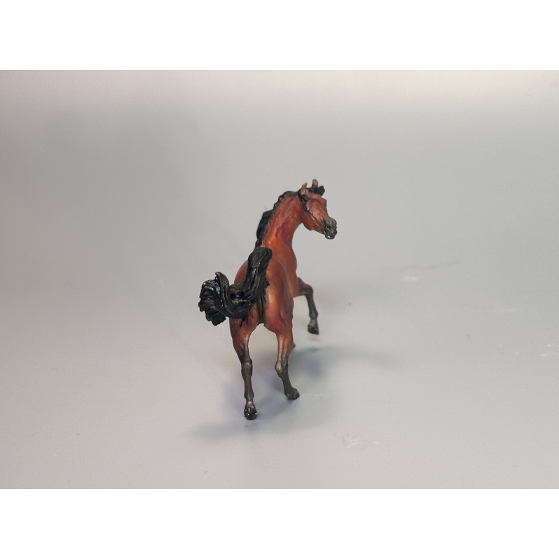 Maggie Jenner-Bennett “The Suitor” Arabian