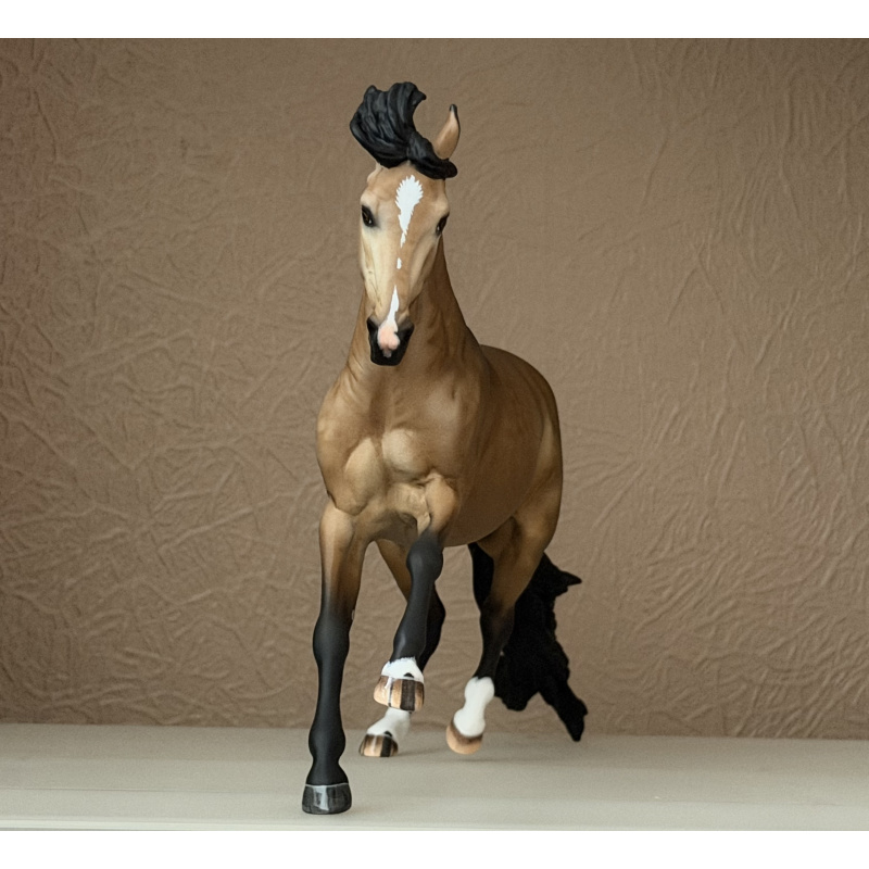CM BREYER CRIOLLO TO A GOLDEN DAPPLED BUCKSKIN