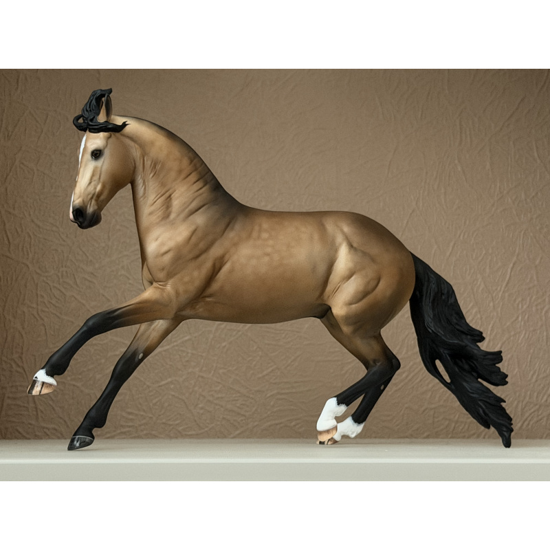 CM BREYER CRIOLLO TO A GOLDEN DAPPLED BUCKSKIN