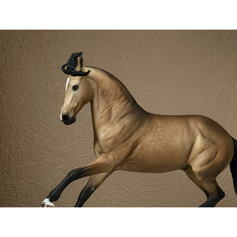 CM BREYER CRIOLLO TO A GOLDEN DAPPLED BUCKSKIN