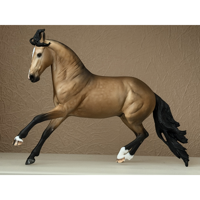 CM BREYER CRIOLLO TO A GOLDEN DAPPLED BUCKSKIN