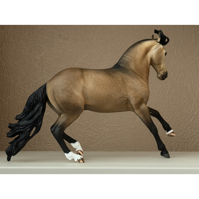 CM BREYER CRIOLLO TO A GOLDEN DAPPLED BUCKSKIN