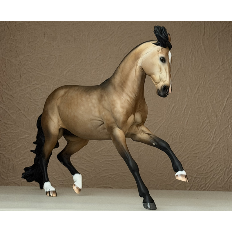 CM BREYER CRIOLLO TO A GOLDEN DAPPLED BUCKSKIN