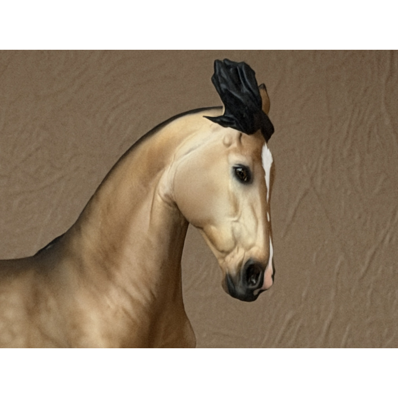 CM BREYER CRIOLLO TO A GOLDEN DAPPLED BUCKSKIN