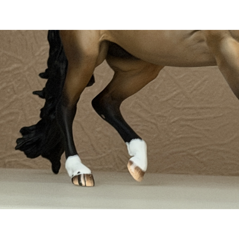 CM BREYER CRIOLLO TO A GOLDEN DAPPLED BUCKSKIN