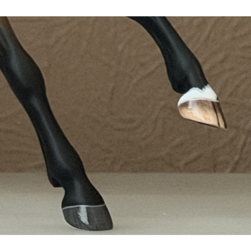 CM BREYER CRIOLLO TO A GOLDEN DAPPLED BUCKSKIN
